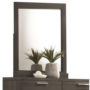 Contemporary Dresser Mirror  |  Bedroom Mirrors Bedroom Bedroom Mirrors